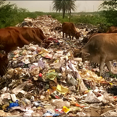 Solid Waste Treatment